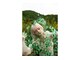 ピズムハク(PISM hak)の写真