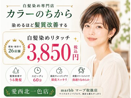 カラーのちから 愛西北一色店の写真