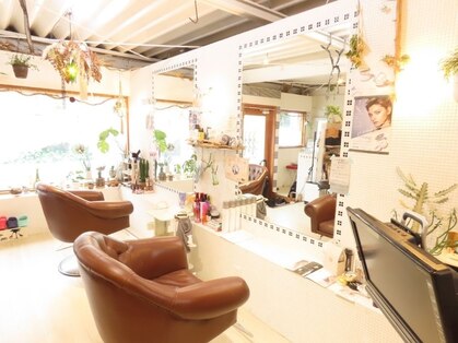 ビーバーム(Bee Balm)の写真