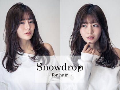 スノードロップ 高円寺店(Snowdrop)の写真