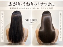 シェデルトーキョー(SHEDEL TOKYO)