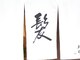 都雅の写真