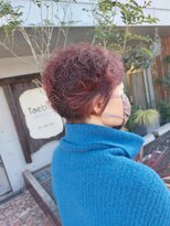 タエビスアリッサム(Taebis Alyssum) 刈り上げショート(イルミナカラー、北習志野)