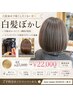 【初回限定】エフェクト白髪ぼかしハイライト+髪質改善ケア