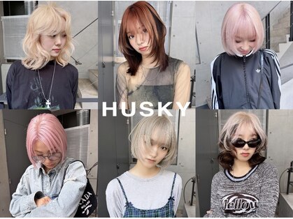 ハスキー(HUSKY)の写真