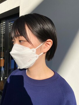 アルジャーノン(algernon) ミニボブ