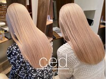 シード 成増 下赤塚店(ced.)