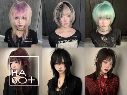 ハコ プラス(HACO+)の写真