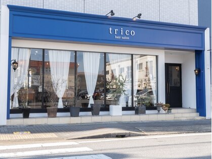 トリコ(trico)の写真