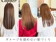 クリッパーループ(Clipper)の写真