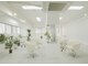 ルーツ 巣鴨 本店(roots)の写真
