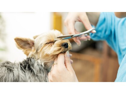 ハート 上矢部インター店(HEART)の写真