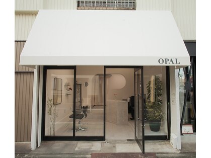 オウパル(OPAL)の写真