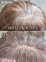 ルルン(Lu-Lun)&nbsp;６０代白髪率７０％ 白髪ぼかしハイライト初回