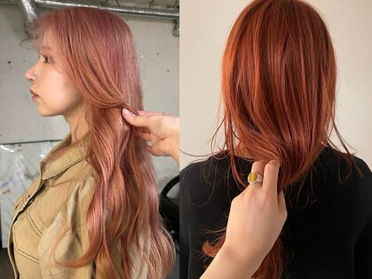 ノラ シブヤ(NORA)の写真