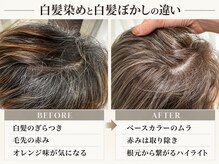 初めての白髪ぼかしで失敗したくない方へ|白髪量・履歴別にご提案