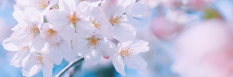 アンド 夙川(AND)のサロンヘッダー