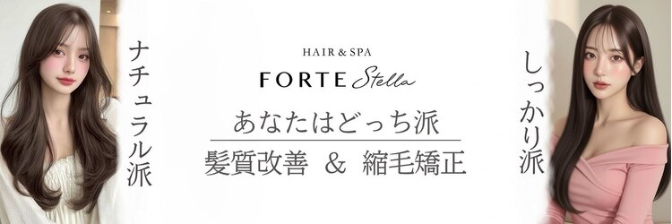 フォルテステラ(FORTE STELLA)のサロンヘッダー