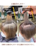 ２【白髪ぼかし】40・50代　白髪ぼかしカラー