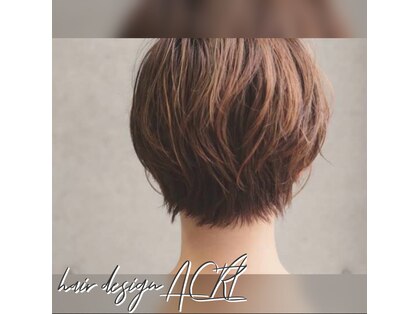 エース(ACE)の写真