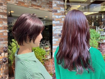 リーグ 青葉台店(League)の写真/女性スタイリスト多数在籍◎一人ひとりに合わせた上品なスタイルをご提案♪艶感と透明感を叶えます*