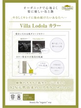 普通のオーガニックカラーとの違い