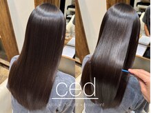 シード 成増 下赤塚店(ced.)