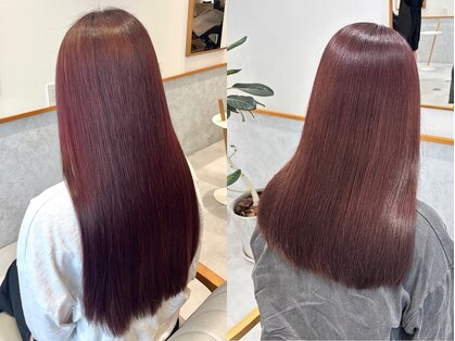 レンジヘアー(lange hair)の写真
