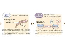 《BCC》毛髪の骨となる部分を作る。《HP》カラー・パーマの持続性、質感を向上させる。