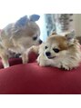 ノーリード(notre Lead) 愛犬^^
