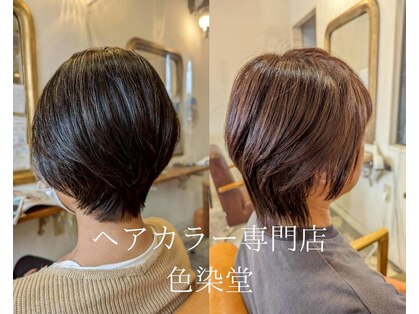 カラー専門店 色染堂 福浜西町店の写真