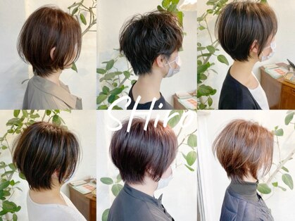 シロ(Shiro)の写真