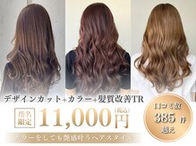 アーカイブ(Archive)