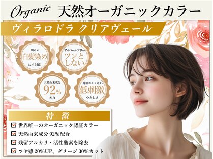 ゼゼ(zeze)の写真