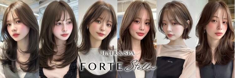 フォルテステラ(FORTE STELLA)のサロンヘッダー