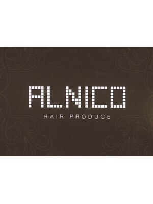 アルニコ ヘア プロデュース ALNICO HAIR PRODUCE