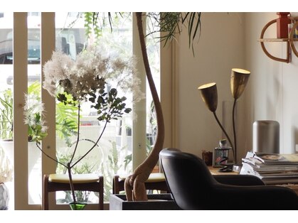 ハイランド(HIGHLAND.)の写真