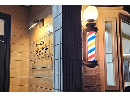 しろとアオの写真