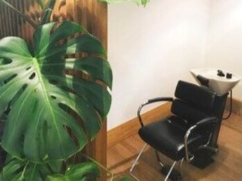 ロペ(rope)の写真/【緑溢れる癒し空間】21種の植物エキスで頭皮から美しく。都会の喧騒を忘れる、本格ヘッドスパ☆