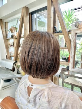 トランク(TRUNK) グラボブ