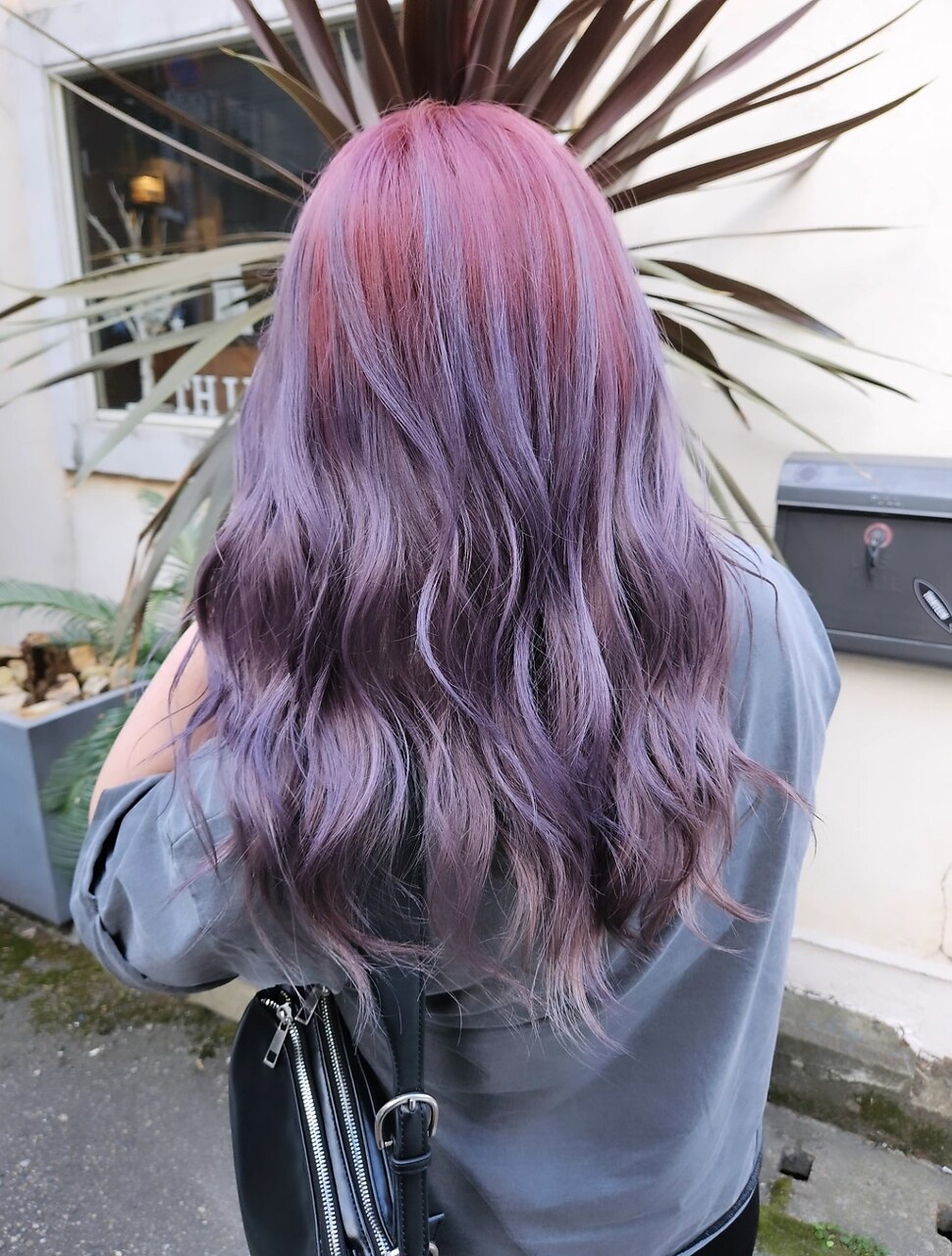 ルーツカラー【pink×violet】Vegan認証カラー♪：L256667132