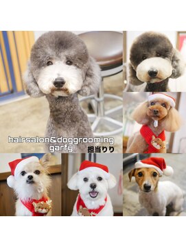 生活に合わせた可愛らしさを引き出すスタイル