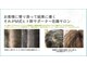 シップス(ships)の写真