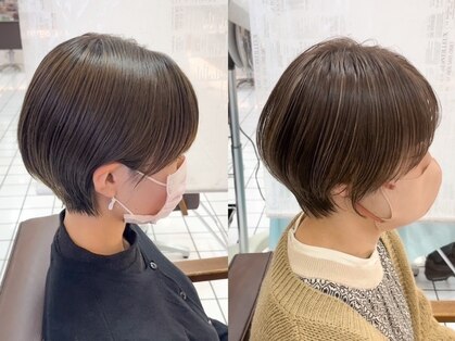 ニュース(NEWS)の写真