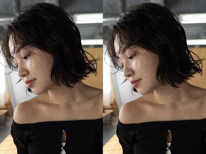 ベター(better)の写真