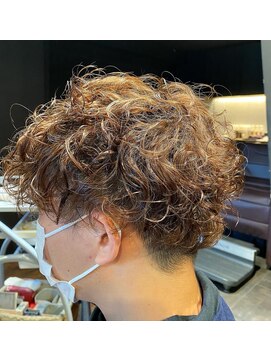 レパーン(Lepa) くりくりトイプードル風