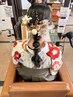 【寺川指名限定】パーティーヘアセット
