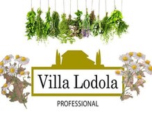 ヴィラロドラ　オーガニックカラー92％天然由来のヘアカラーで心地よく、艶やかに。