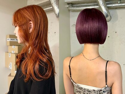 ノラ シブヤ(NORA)の写真