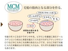《マスクルCMCミルキィ》毛髪の筋肉となる部分を作る。